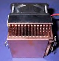 Kanie Hedgehog M-238 