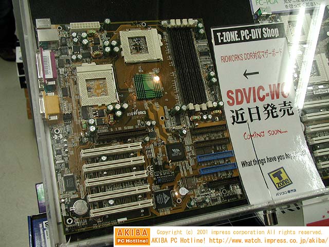RioWorks SDVIC-WO