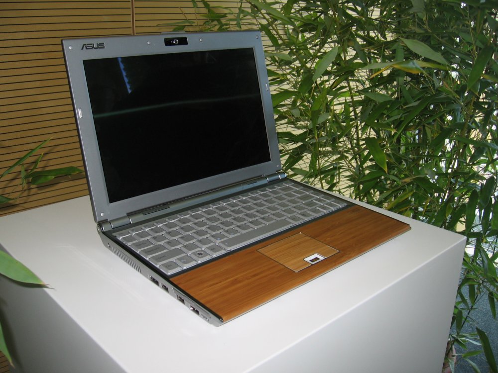 ASUS Bambus-Notebook