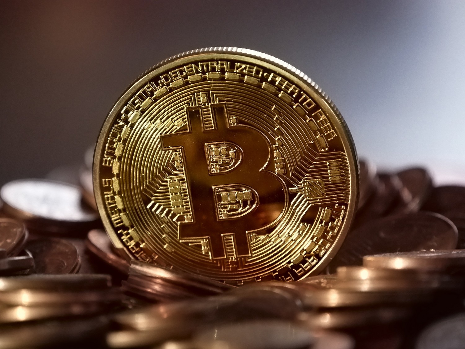 wie viel geld wurde in bitcoin investiert