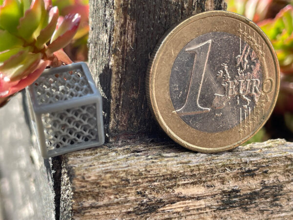 Testdruck Würfel mit Netz 1