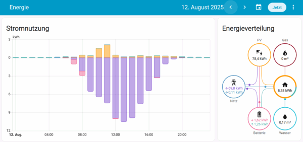 Home Assistant Energie-Dashboard 12.08.